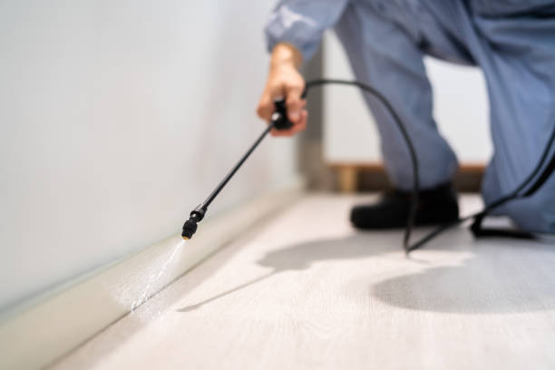 Licensed Pest Control service in Chowchilla, CA - Show Me Pest Control
