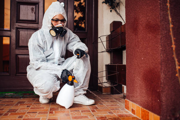 Reliable Ant Control contractor in Chowchilla, CA by Show Me Pest Control